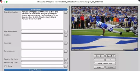 Publication-ready caption example