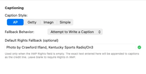 Caption style options